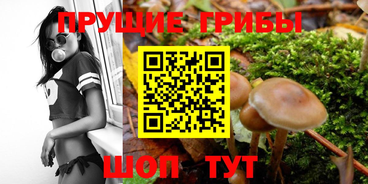Сафоново  Псилоцибиновые грибы мицелий  Вход с VPN 