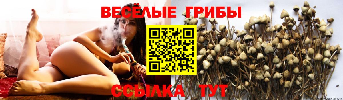 Галлюциногенные грибы мицелий Сафоново